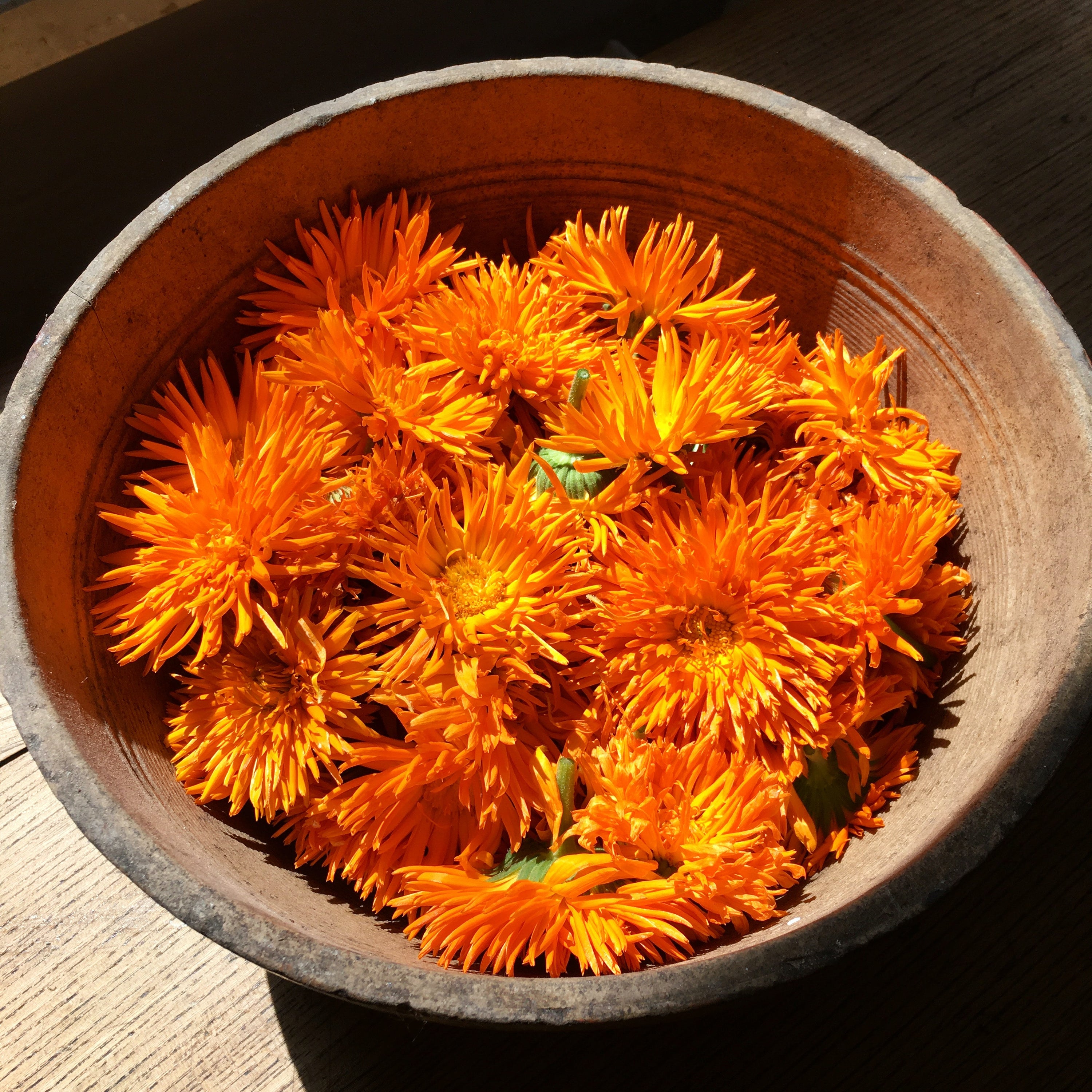Sunrise in the Desert: A Calendula Concoction for the Fearless Wanderer