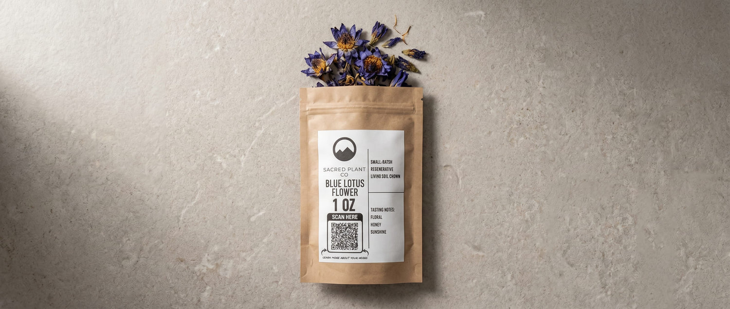 Blue Lotus for Lucid Dreaming: The Ancient Egyptian Dream Flower