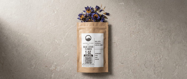 Blue Lotus for Lucid Dreaming: The Ancient Egyptian Dream Flower
