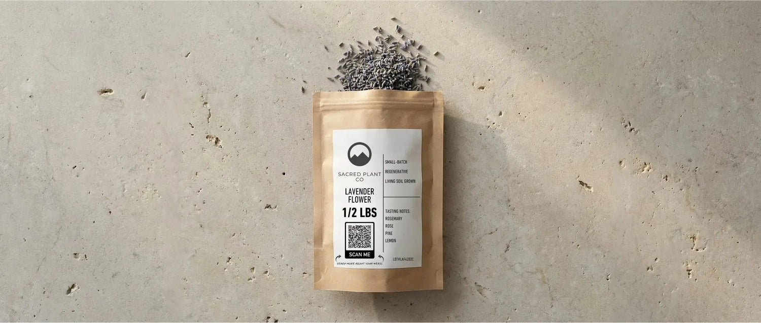 Sacred Plant Co bulk Lavender Flower packaging on a stone surface, spilling out deep purple, high-altitude grown lavender buds.