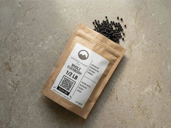 Sacred Plant Co dried whole elderberries spilling from a half-pound kraft pouch, illustrating natural herbal remedies for immune support and fighting seasonal illness.