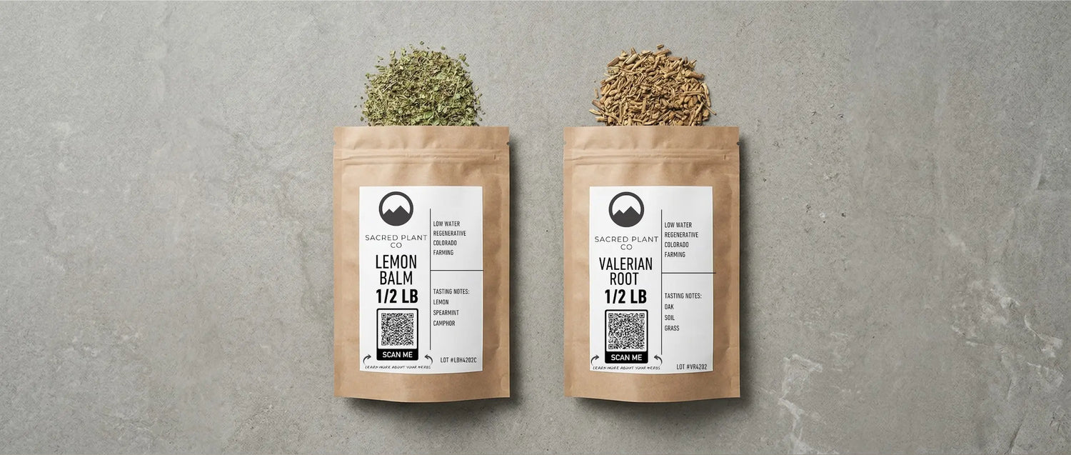 Lemon Balm vs Valerian for Sleep: Which One Fits Your Night