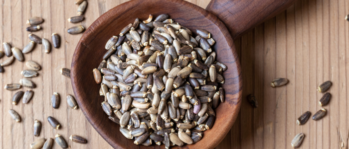 Milk Thistle Seeds: A Natural Liver Protector