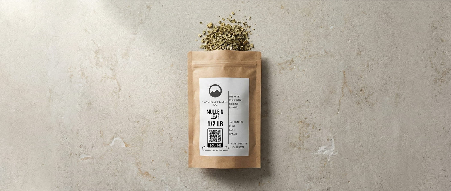 Premium dried Mullein Leaf (Verbascum thapsus) prepared for respiratory tea, a primary TCM herb for clearing phlegm and lung congestion.