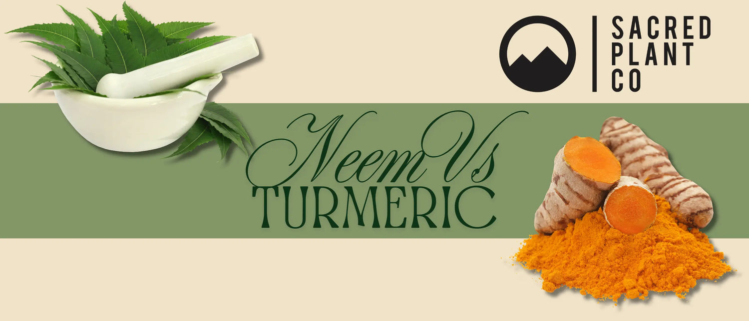 Neem vs Turmeric for Acne: Ayurvedic Remedies Compared