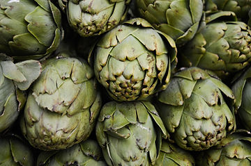How to Grow Artichoke From Seeds