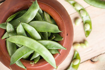 How to Grow Sugar Snap Peas from Seed!