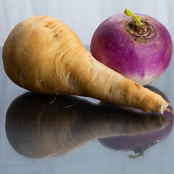 How to Grow Purple-top Yellow Rutabaga from Seed!