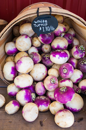 How to Grow Purple Top Turnips From Seed