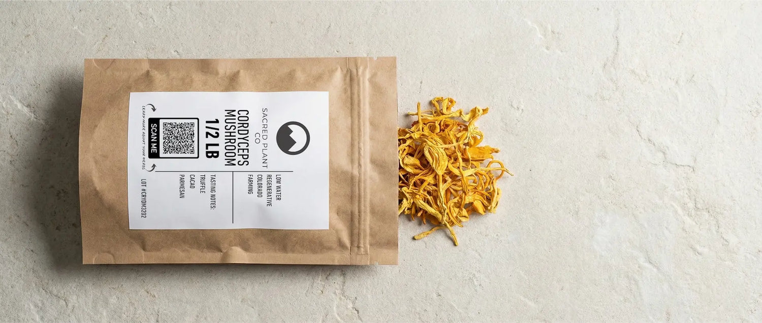 Sustainable kraft pouch of Sacred Plant Co Cordyceps, containing fruiting bodies processed for bioavailability without fillers or grain spawn.