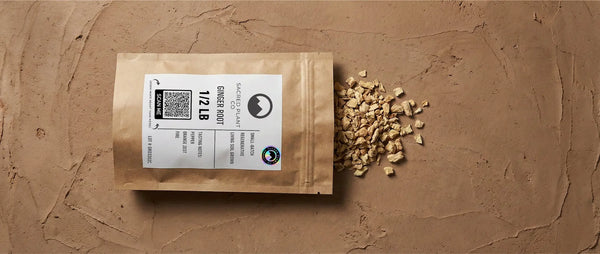 Premium Sacred Plant Co. dried ginger root in sustainable kraft packaging, showcasing small-batch regenerative living soil cultivation of Zingiber officinale for traditional medicine.