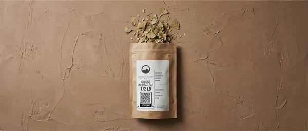 Sacred Plant Co Ginkgo Biloba Leaf 1/2 LB kraft package surrounded by dried fan-shaped ginkgo leaves on a textured earth-tone background.