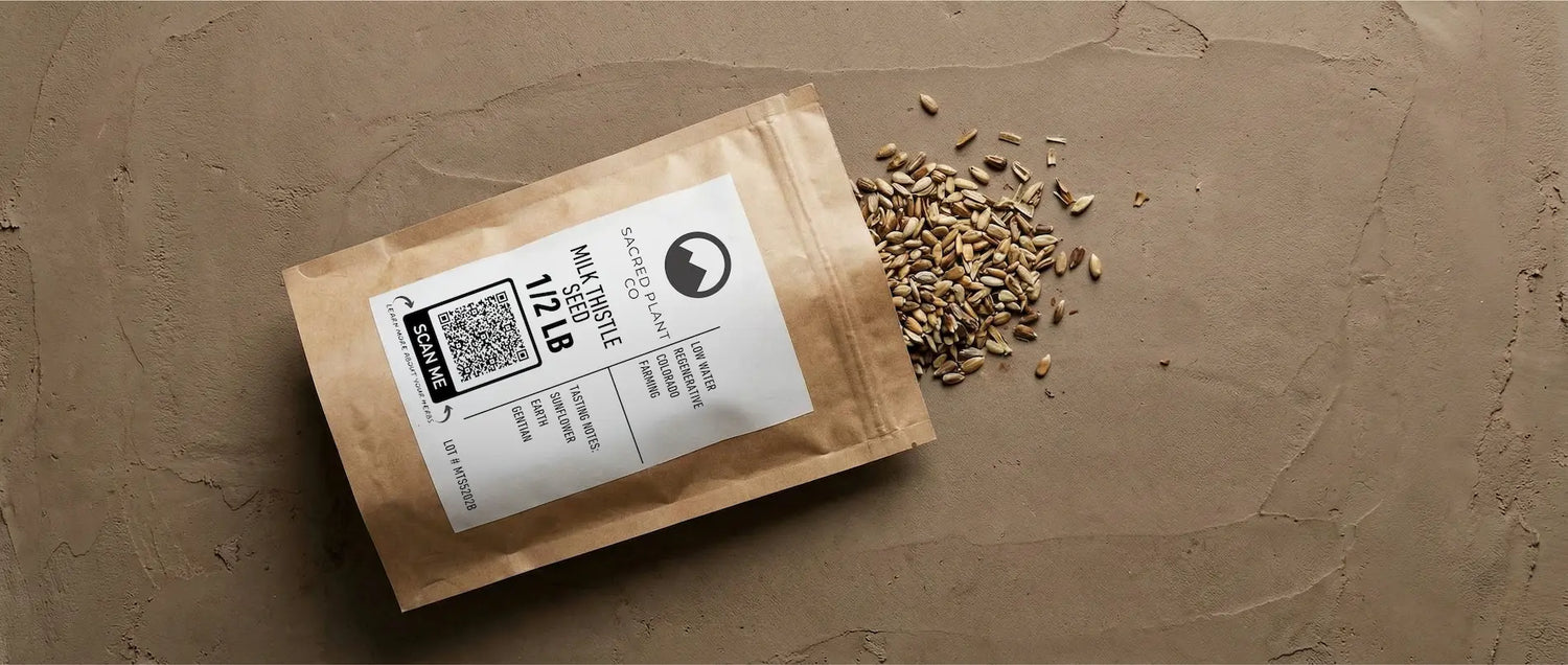 Sacred Plant Co bulk milk thistle seeds spilling from regenerative farming packaging, highlighting silymarin-rich herbs for liver detox and hormone balance.