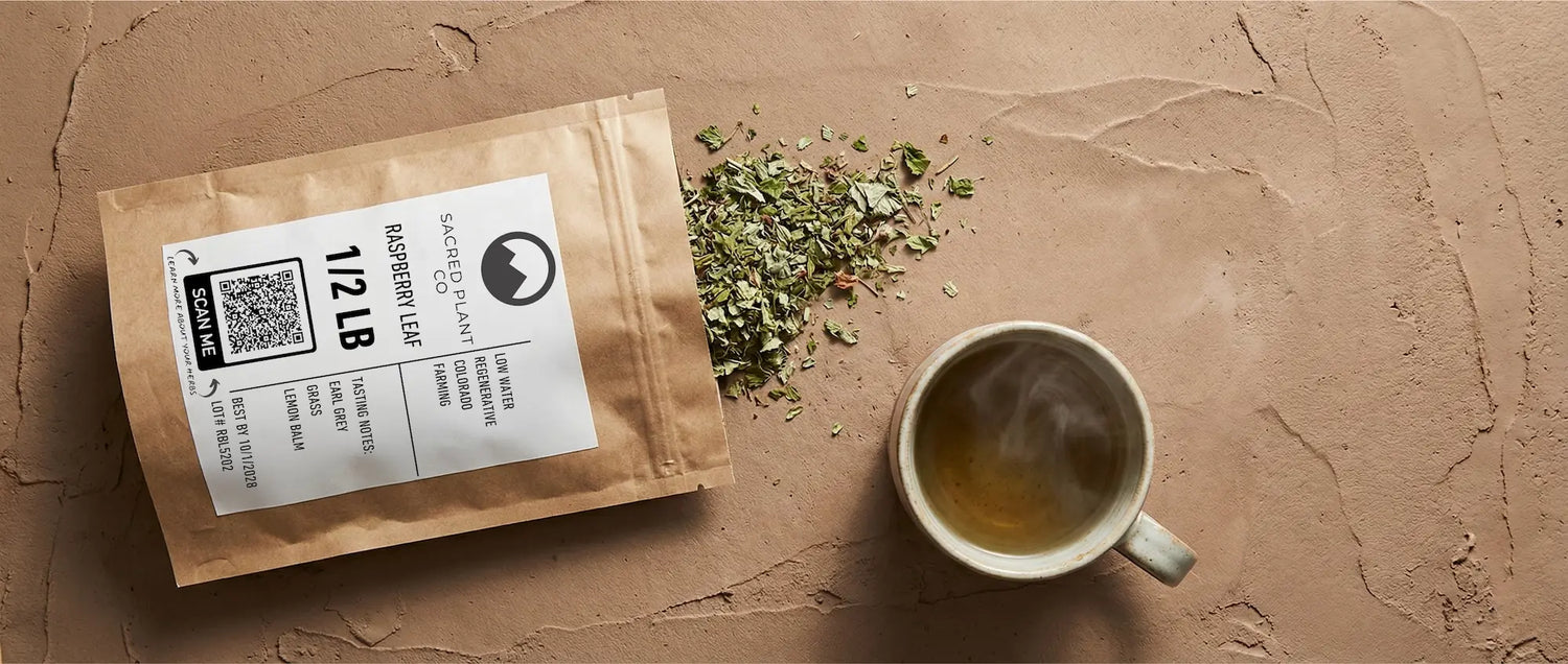 Sacred Plant Co raspberry leaf tea packaging next to a steaming ceramic cup and loose dried herbs on a textured earth background.