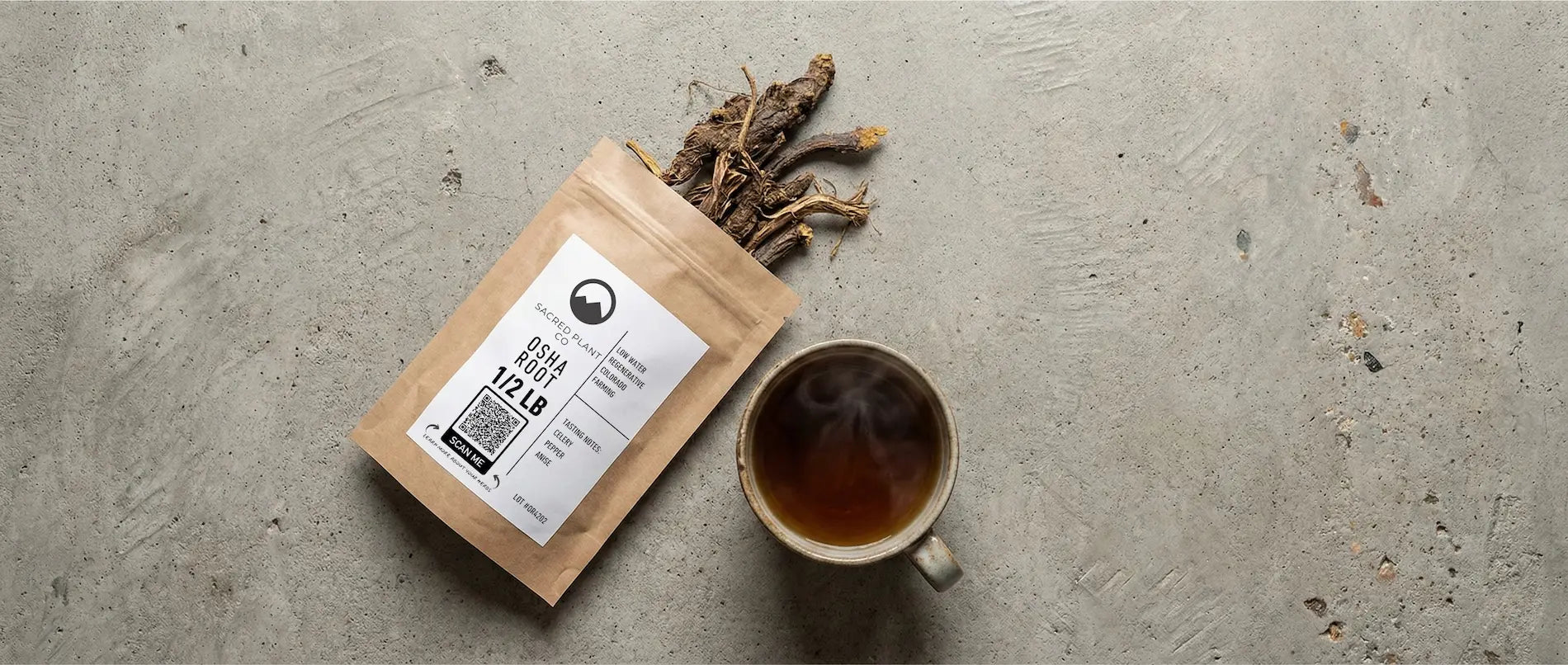 How to Make Osha Root Tea - A Healing Brew from Sacred Plant Co