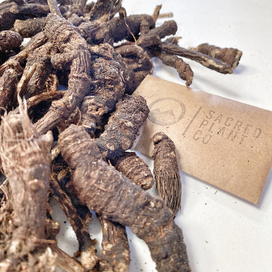 Image of Sacred Plant Co Osha Root