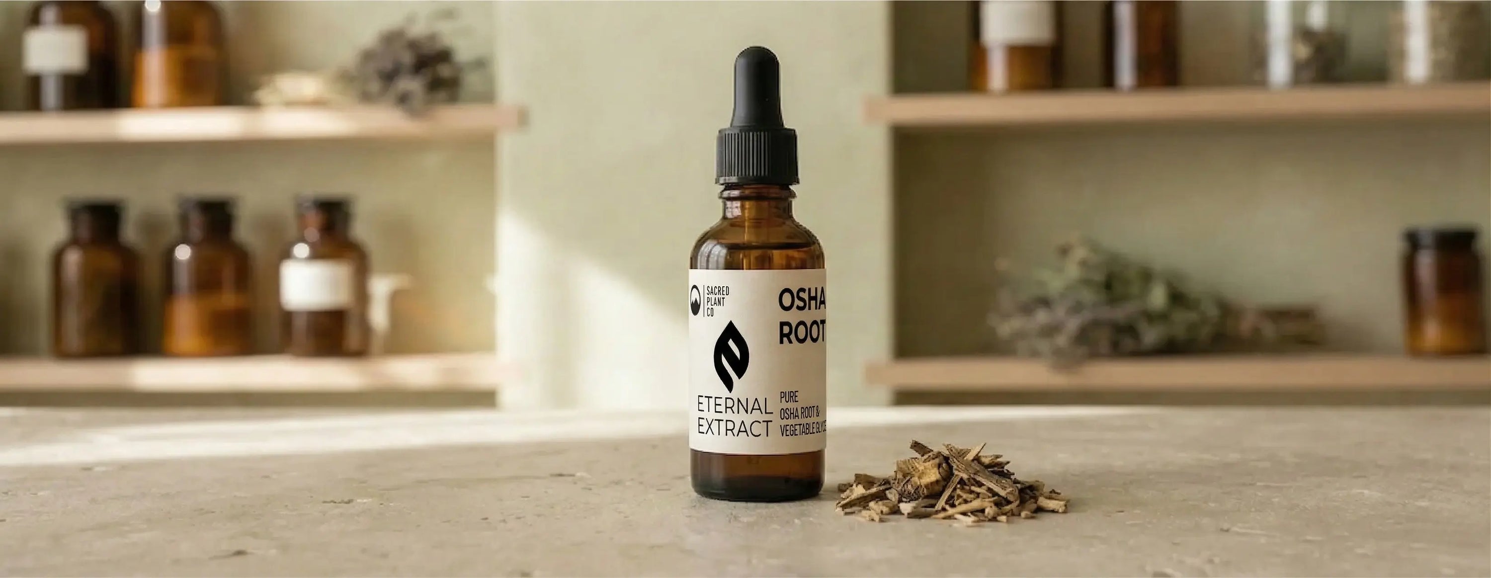 Amber dropper bottle of Sacred Plant Co Osha Root Eternal Extract glycerite resting next to dried Ligusticum porteri root pieces, highlighting the alcohol-free, year-long extraction crafted for respiratory support.