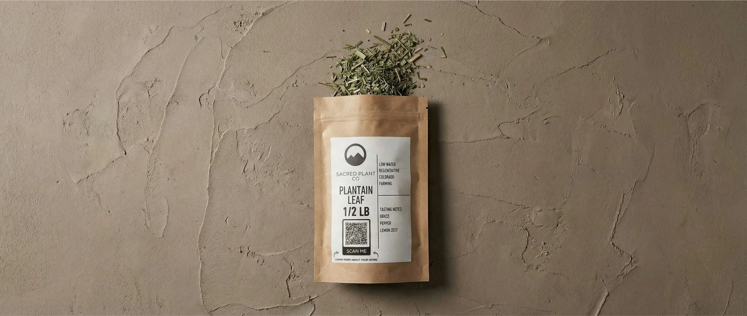 Sacred Plant Co packaging containing cut and sifted Plantain leaf harvested from regeneratively managed living soil in Colorado.