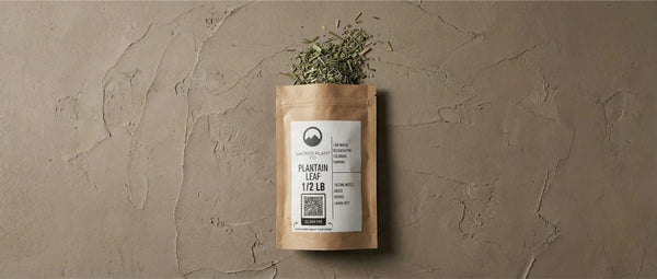 Sacred Plant Co packaging containing cut and sifted Plantain leaf harvested from regeneratively managed living soil in Colorado.