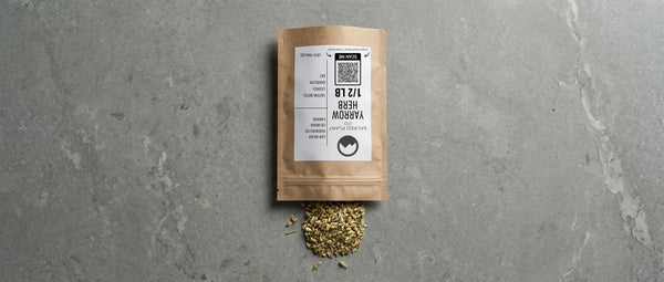 Dried, coarsely chopped yarrow flowers spill from a Sacred Plant Co kraft bag, showcasing regeneratively cultivated herbs for wound healing.