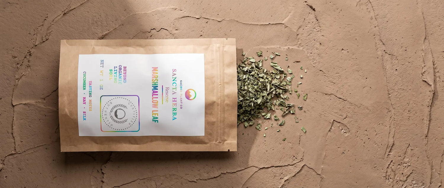 Marshmallow Leaf: Sacred Plant Co's Silky Soil-Grown Demulcent