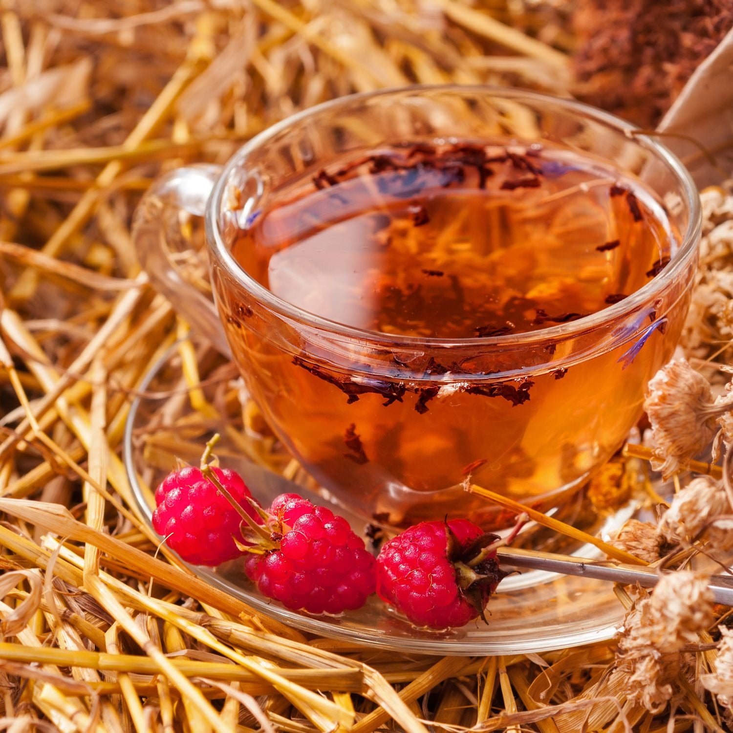 The Perfect Raspberry Leaf Tea Recipe