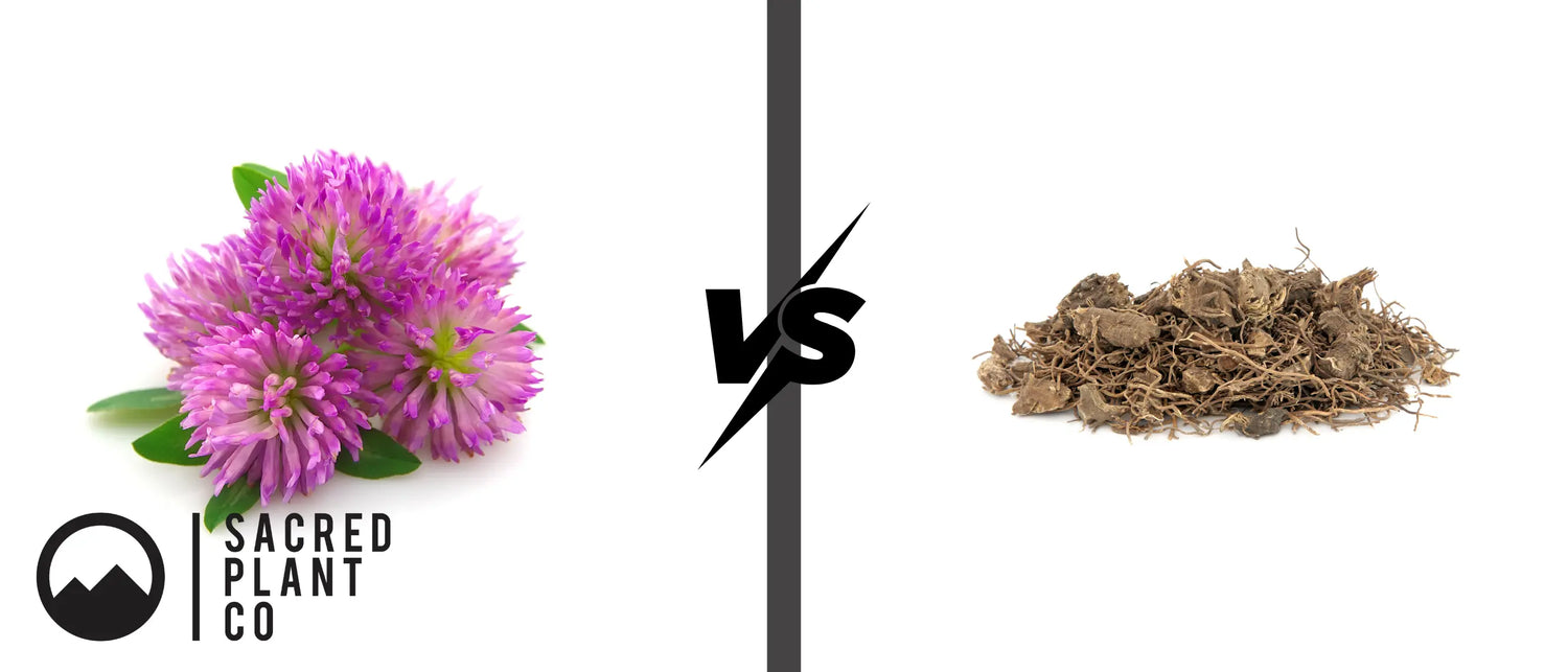 Hero image comparing red clover with black cohosh root