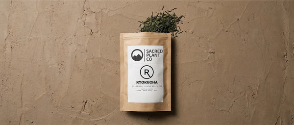 Sacred Plant Co Ryokucha packaging on an earthy textured background, with loose needle-shaped sencha leaves displaying their deep green color and fine cut.