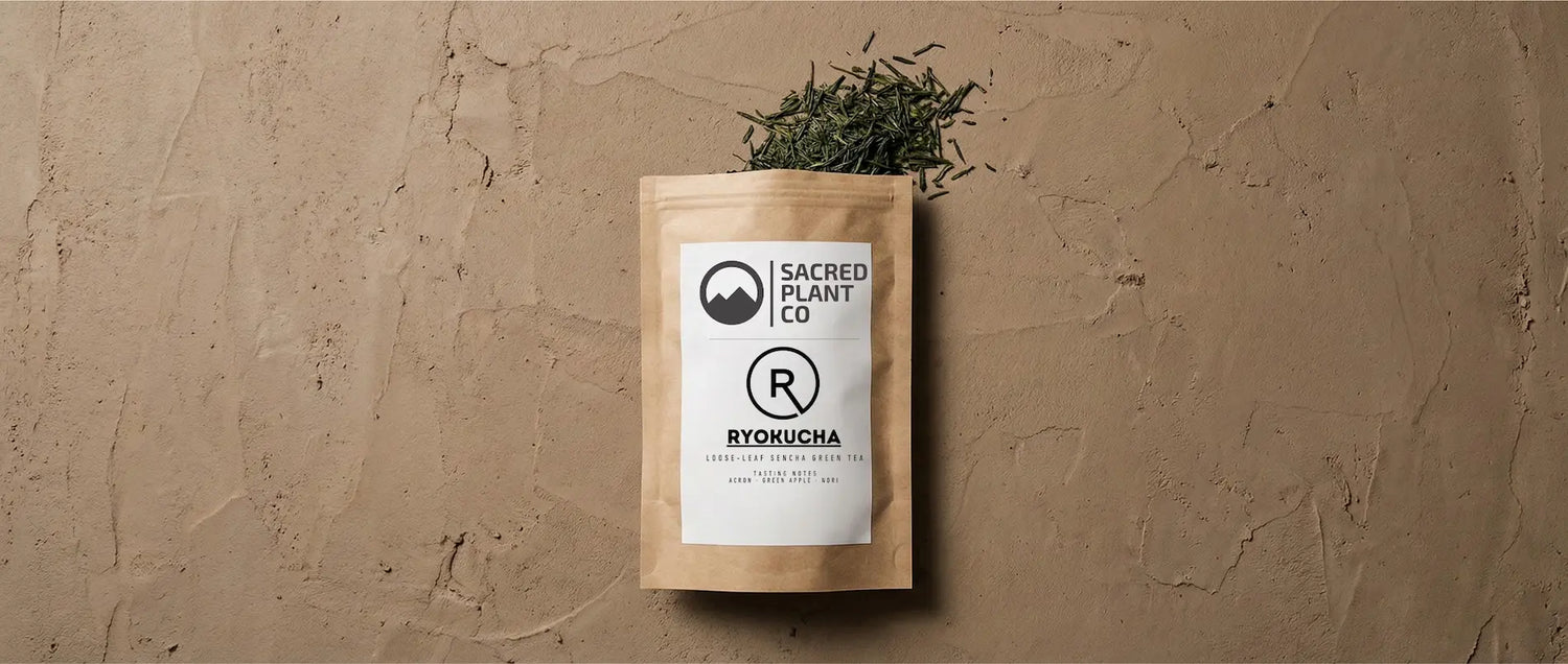 Sacred Plant Co Ryokucha loose leaf Sencha Green Tea packaging on earthy textured background, showcasing premium leaves rich in metabolism-boosting EGCG and catechins.