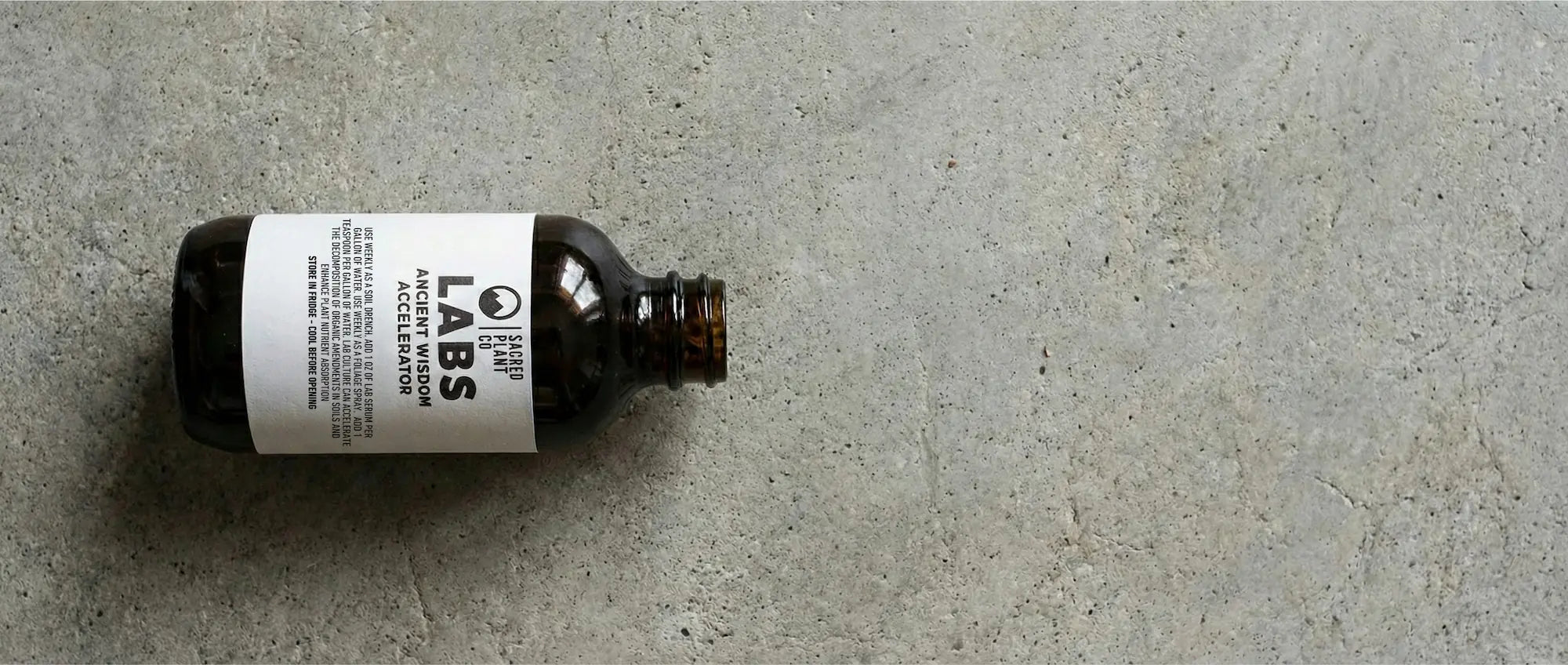 Sacred Plant Co Accelerator bottle containing Pediococcus-dominant lactic acid bacteria for compost inoculation.