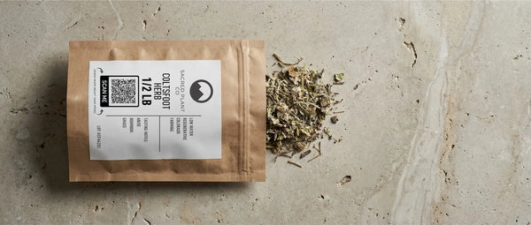 Sacred Plant Co biodegradable packaging containing 1/2 lb of bulk dried Coltsfoot herb (Tussilago farfara) spilled onto a stone surface to show leaf quality.