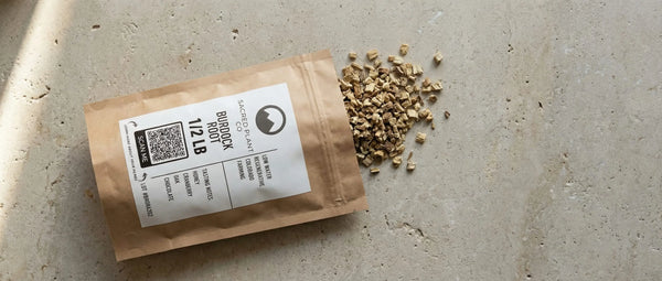 Product close-up of high-quality, cut and sifted Burdock Root from Sacred Plant Co, showing the texture of the dried root pieces.