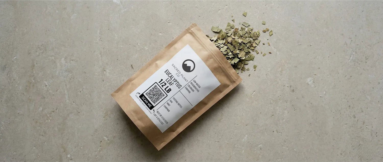Sacred Plant Co regeneratively farmed dried eucalyptus leaf spilling from a half-pound pouch, featuring high 1,8-cineole content for natural lung and respiratory support