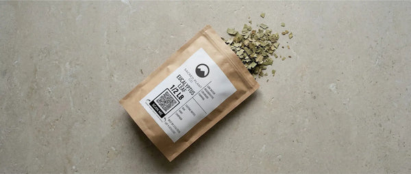 Sacred Plant Co regeneratively farmed dried eucalyptus leaf spilling from a half-pound pouch, featuring high 1,8-cineole content for natural lung and respiratory support