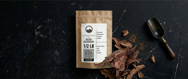 Overhead photograph of a brown kraft paper pouch bag, with a blank label ready for branding, placed on a black marble slab. Arranged neatly next to it is a pile of gnarled, dark-brown dried Reishi mushroom slices