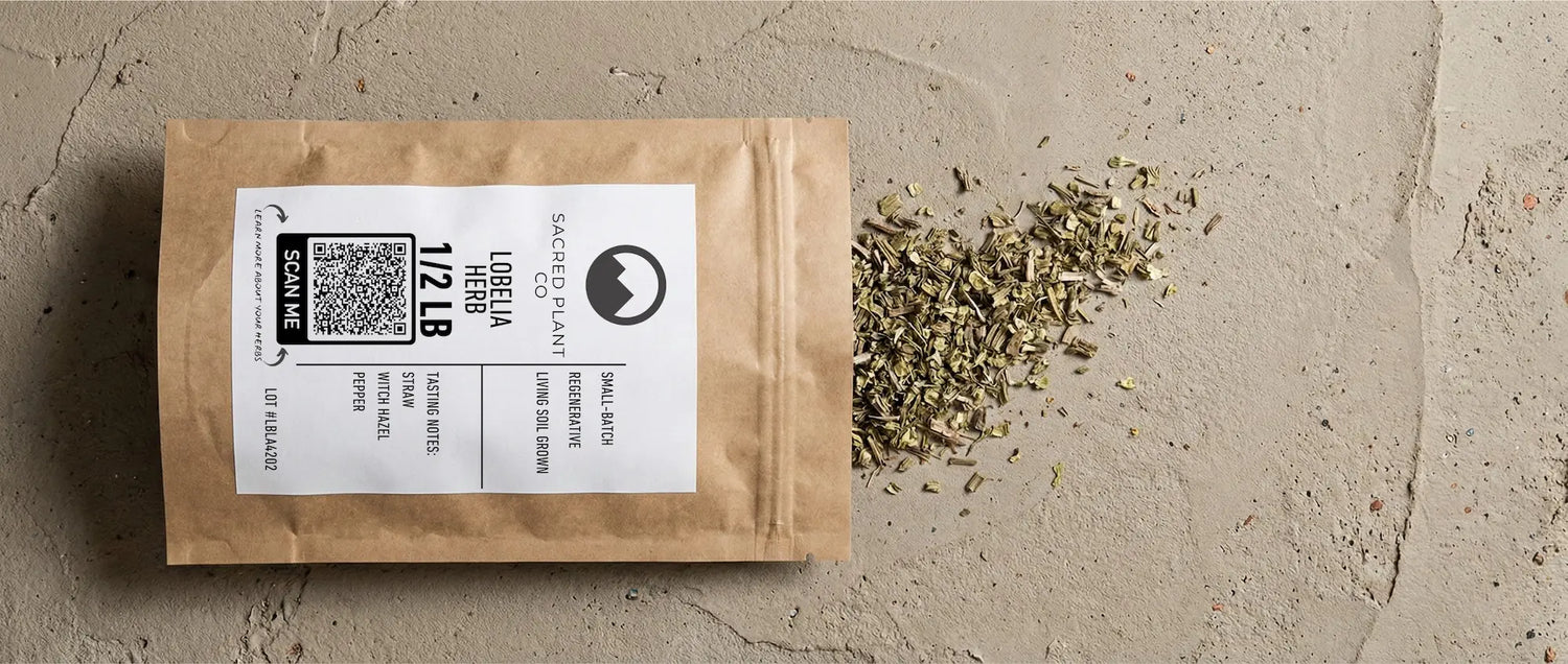 A kraft paper pouch of dried Lobelia inflata aerial parts spilling onto stone, showing olive-green leaves and stems for respiratory tea.