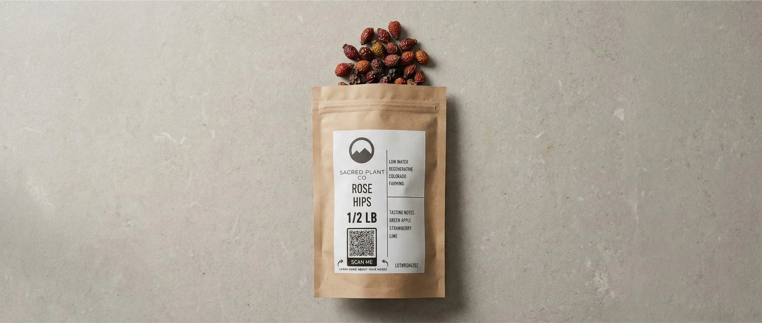 Sacred Plant Co premium dried whole rose hips spilling from 1/2 lb regenerative farming packaging, highlighting the deep color of potent Rosa canina fruit used for natural wellness.