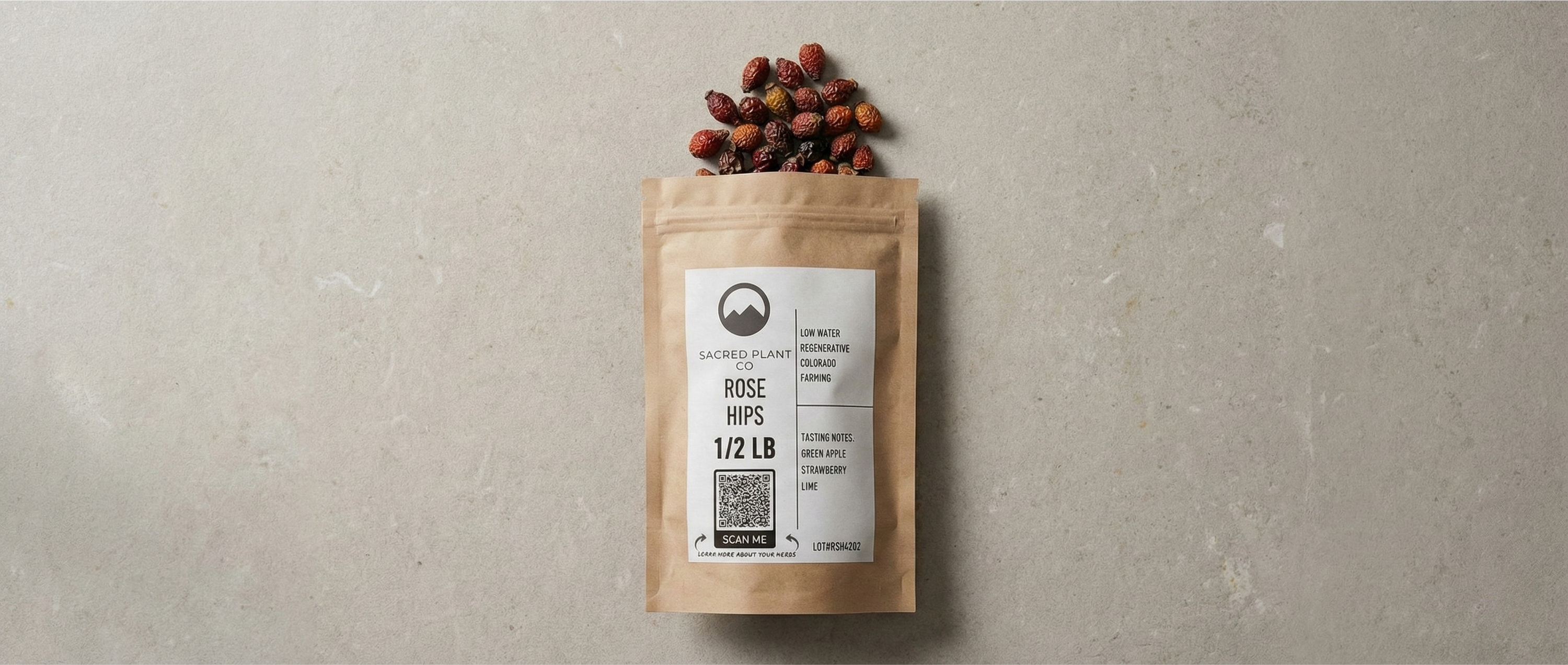 Top-down editorial layflat of a Sacred Plant Co 'Rose Hips' 1/2 lb kraft paper bag resting on a textured limestone surface. Whole dried red and orange rose hips spill naturally from the top of the package, illuminated by soft, natural window light.