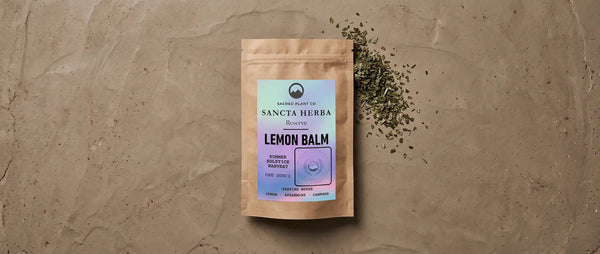 Sancta Herba Reserve Lemon Balm 2026: A Dawn-Harvest Micro-Lot of 108