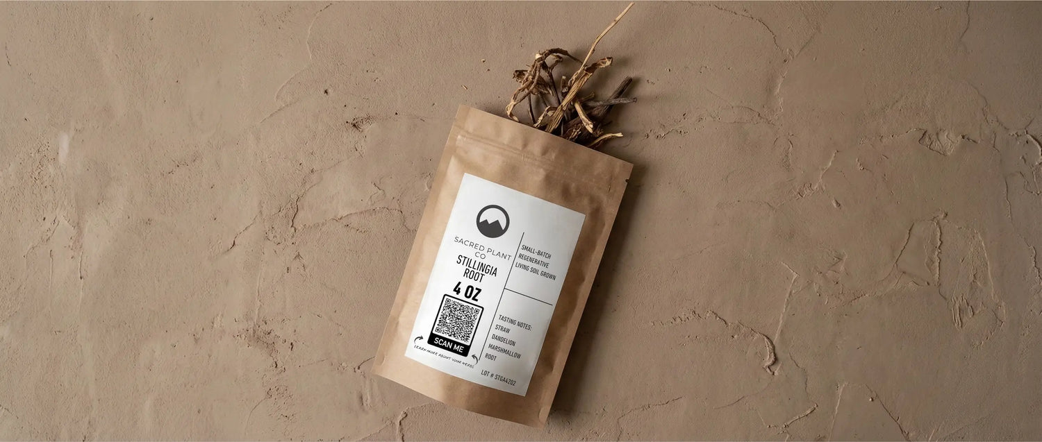 Exploring the Historical Uses and Benefits of Stillingia Root: A Guide to Using Cut and Sifted Stillingia Root