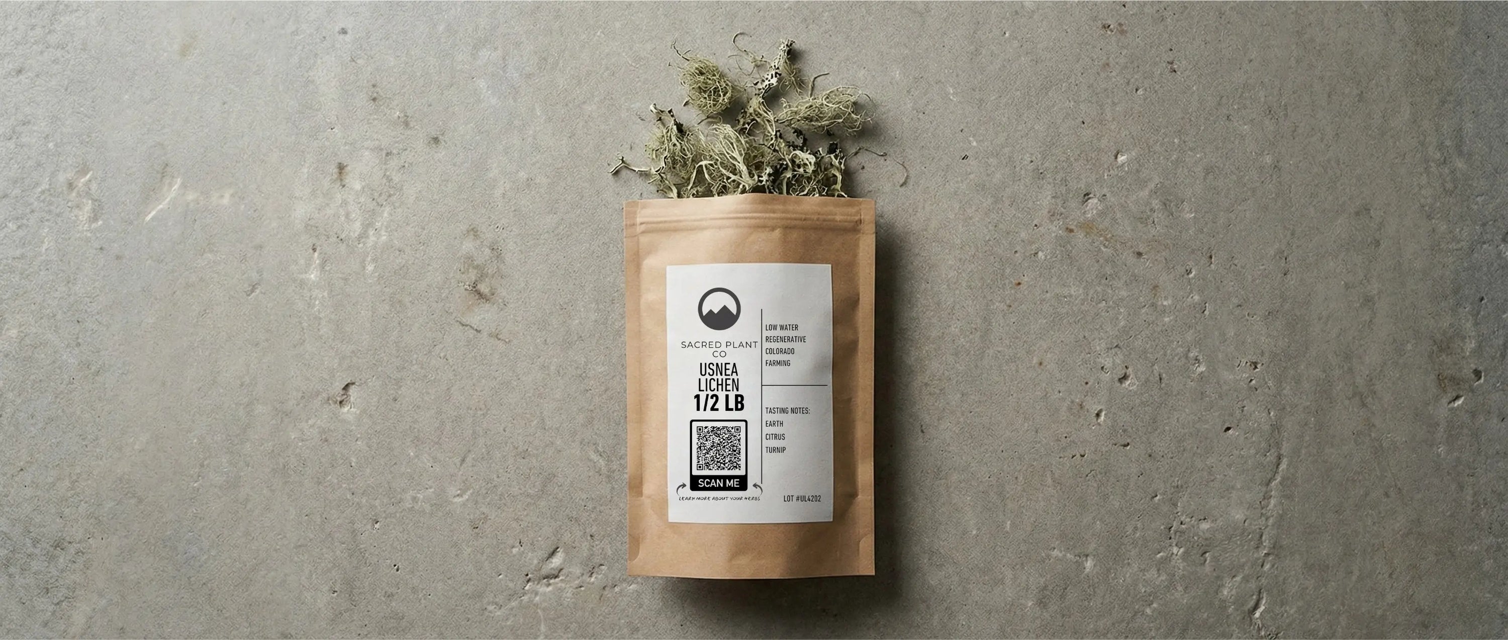 Top-down editorial photograph of a Sacred Plant Co Usnea Lichen kraft bag lying flat on a textured raw concrete surface. Dried, fibrous pale-green lichen spills naturally from the top of the package, illuminated by soft, natural light.
