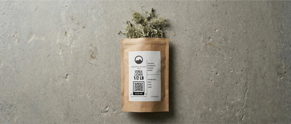Top-down editorial photograph of a Sacred Plant Co Usnea Lichen kraft bag lying flat on a textured raw concrete surface. Dried, fibrous pale-green lichen spills naturally from the top of the package, illuminated by soft, natural light.