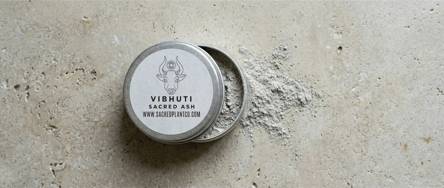 Open tin of Sacred Plant Co Vibhuti Sacred Ash on a stone surface, displaying the fine, pure gray texture of the traditional mineral preparation.