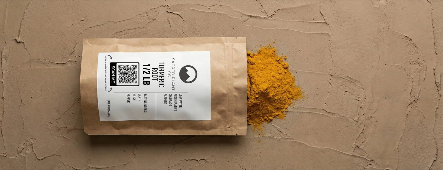 Vibrant turmeric powder spilled on rich earth, illustrating the link between regenerative soil biology and potent anti-aging curcuminoids.