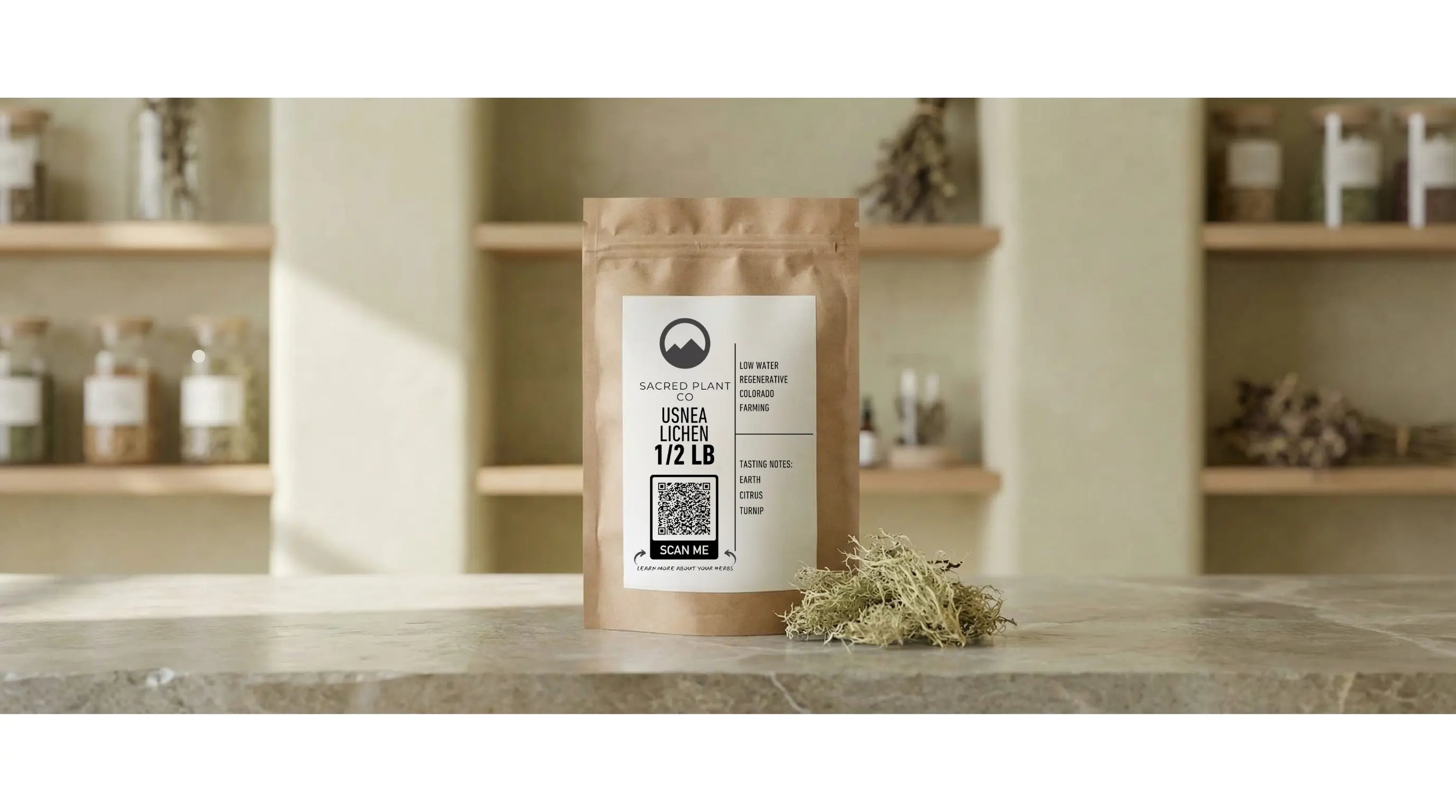 Sacred Plant Co usnea lichen displayed in a calm apothecary setting, highlighting wildcrafted quality and herbal tradition