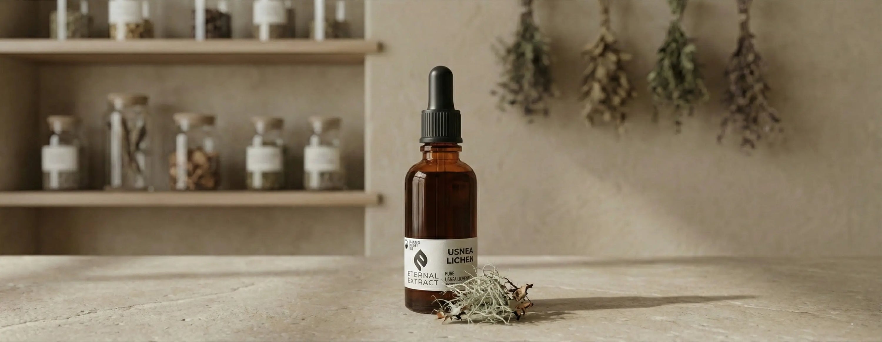 Sacred Plant Co Usnea Lichen tincture bottle displayed in a natural apothecary setting with dried herbs, symbolizing respiratory and immune support.