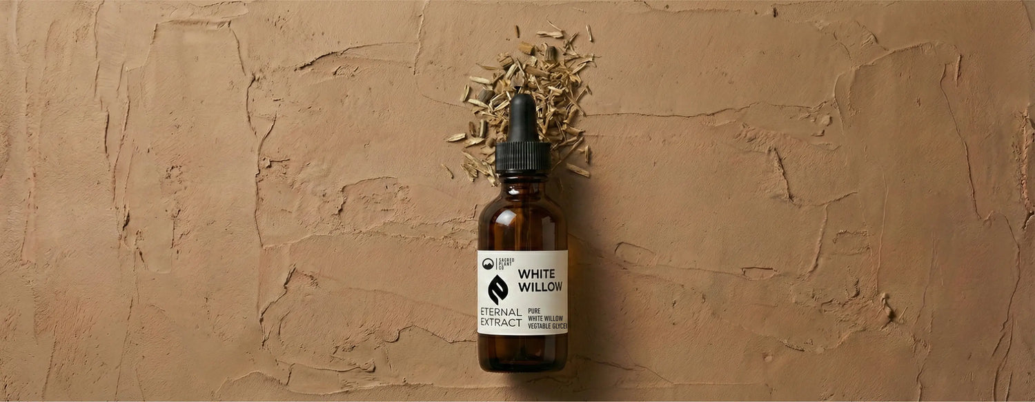 Sacred Plant Co White Willow Bark Tincture Eternal Extract bottle lying flat on a textured clay surface, labeled as pure white willow bark and vegetable glycerin.