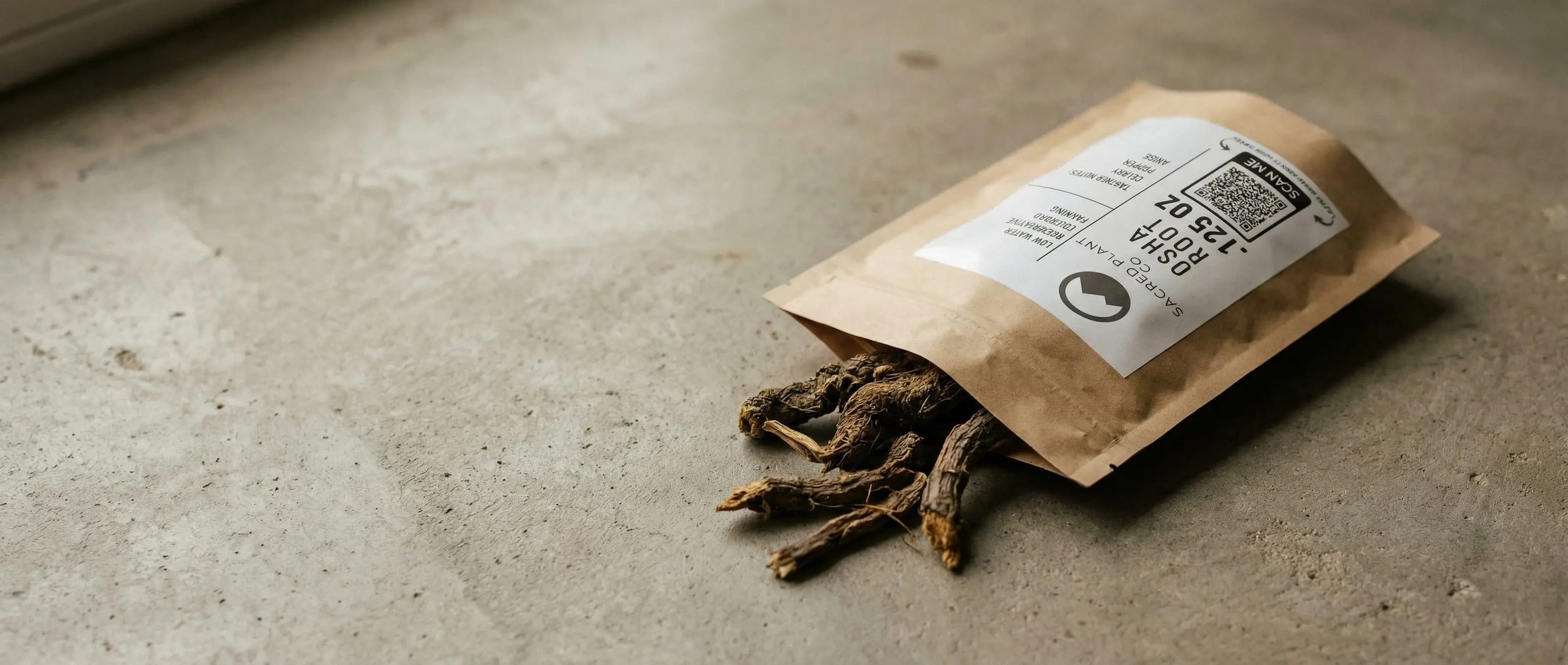 Sacred Plant Co biodegradable package containing whole, dried wildcrafted Osha roots resting on a textured stone surface.