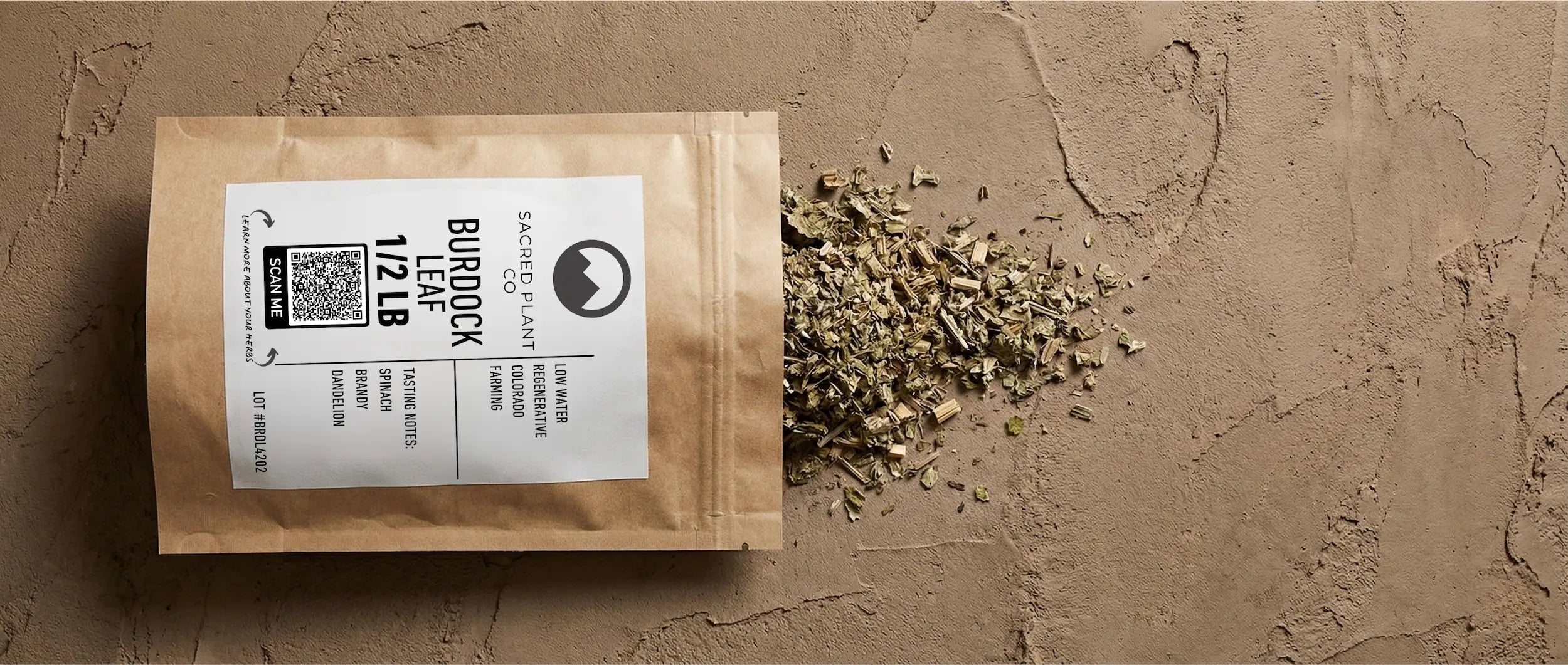 Top-down view of dried Burdock Leaf (Arctium lappa) spilling from paper packaging, showing the coarse cut texture for infusions.