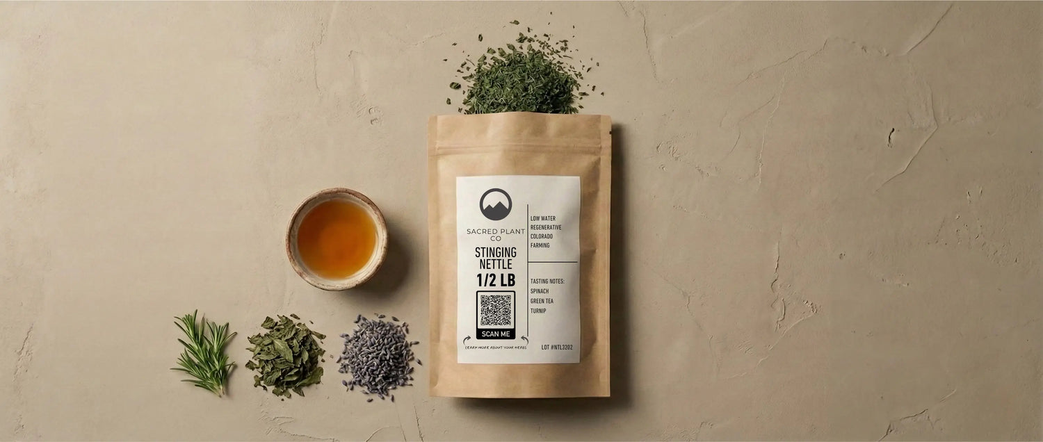 Eco-friendly packaging of Sacred Plant Co wildcrafted stinging nettle leaves surrounded by raw dried herbs, representing premium culinary and medicinal quality.
